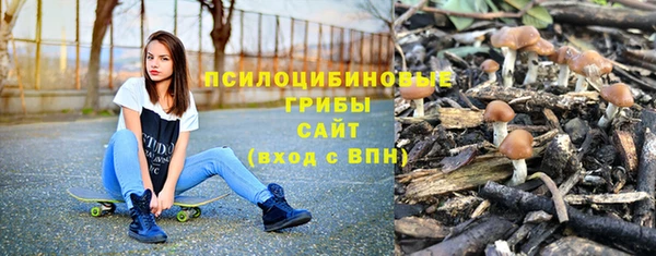 эйфоретик Алексеевка